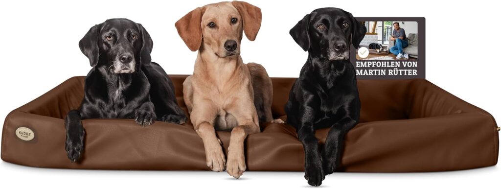 SABRO KUDDE orthopädisches Hundesofa aus Kunstleder im modernen Wohnzimmer