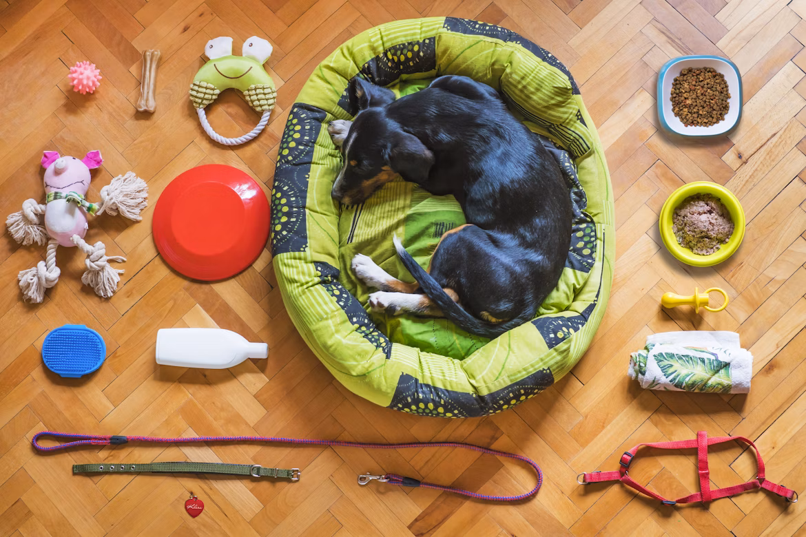Pflege und Zubehör für Hundebetten