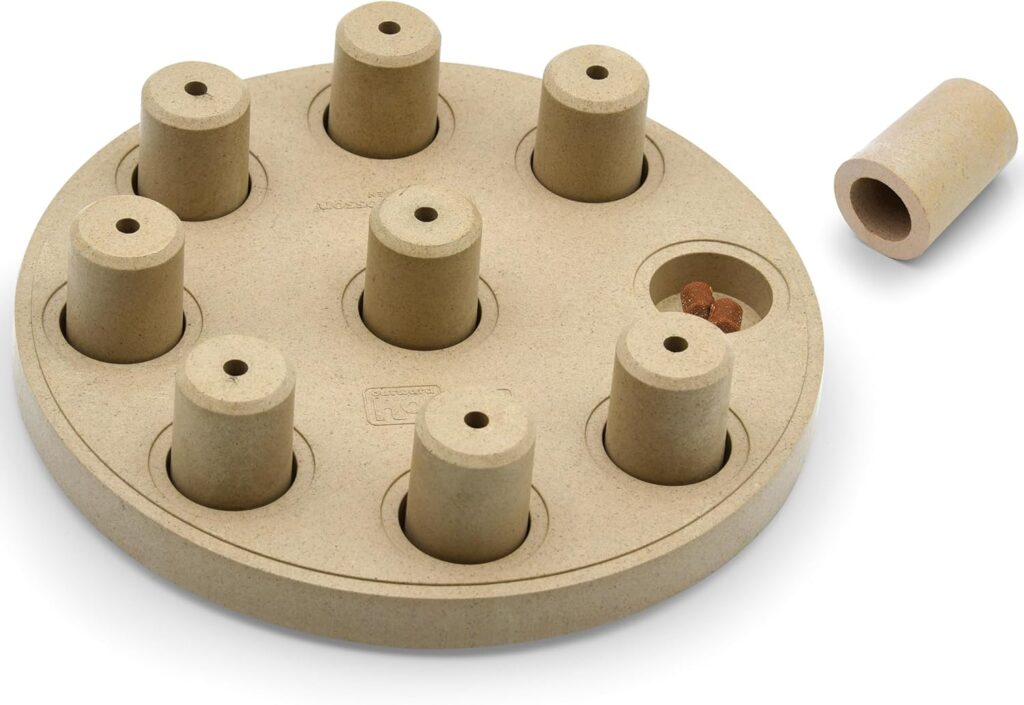 Nina Ottosson Dog Smart – Einsteiger-Denkspiel für junge Hunde 2026