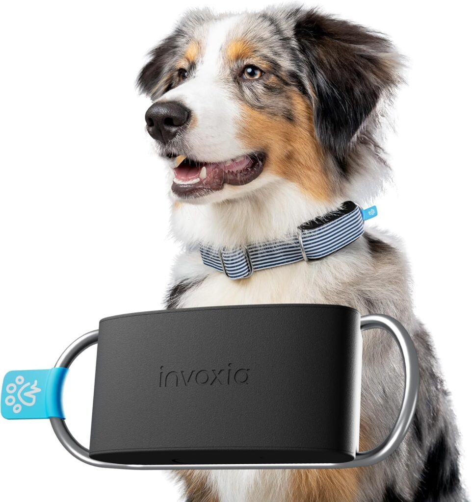 Invoxia Minitailz GPS- und Gesundheits-Tracker für Hunde